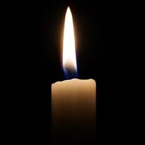 Meet your Posher, Anfisa